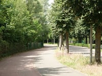 Bosstraat von Boom