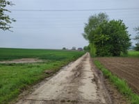 Bosstraat über Kammerdel