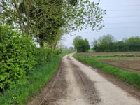 Bosstraat über Kammerdel