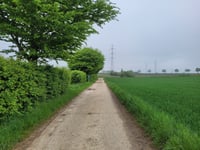 Bosstraat über Kammerdel