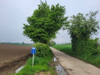 Bosstraat über Kammerdel