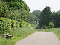 Bosveldweg
