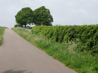 Bosveldweg