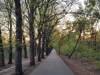 Botterstop depuis Woudenberg
