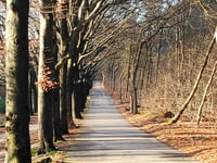 Botterstop von Soesterberg