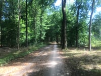 Botterstop über Treekerlaan
