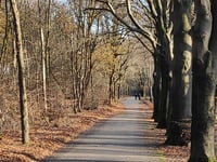 Botterstop depuis Woudenberg