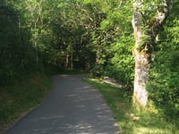 Bourscheid da Welscheid