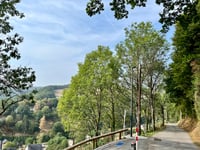 Bourscheid da Welscheid