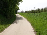 Bovenstraat über Werm