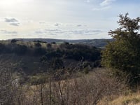 Box Hill