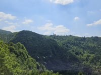 Bracca da Ambria