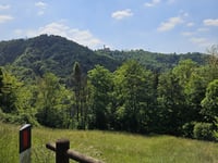 Bracca da Ambria