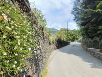 Bracchio from Mergozzo