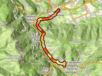 Brach z San Martino