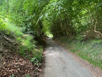 Bradley's Street via Bottom Lane