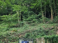 Brakkeberg przez Vogelzangweg