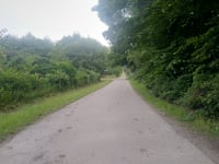 Brandenberg from Klever Reichswald