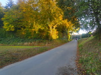 Brandenberg von Kranenburg