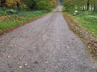Brandenberg von Kranenburg