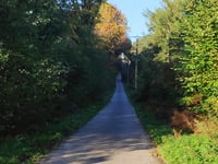 Brandenberg from Klever Reichswald