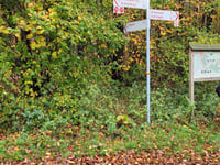 Brandenberg von Klever Reichswald