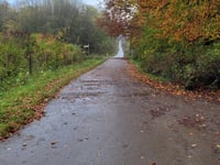 Brandenberg von Klever Reichswald