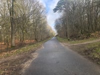 Brandenberg vanuit Klever Reichswald