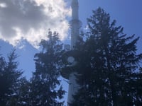 Brandenkopf von Unterharmersbach
