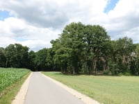 Brandheide da Itterbeekvallei