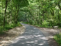 Brandheide da Itterbeekvallei