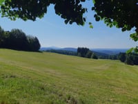 Brandhöhe / Hochwaldblick via Oberaue
