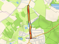 Bräuningshof z Igelsdorf