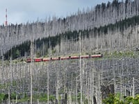 Brocken depuis Elbingerode