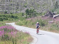 Brocken von Elend