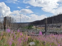 Brocken von Elend