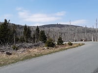 Brocken von Wernigerode
