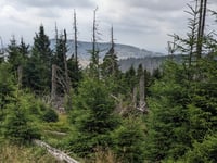 Brocken von Wernigerode
