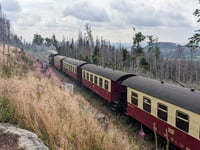 Brocken von Wernigerode