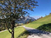 Bromberg da Söll