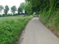 Bronkweg