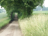 Bronkweg