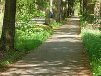 Brouwersweg depuis Hoenderloo