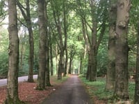 Brouwersweg depuis Hoenderloo