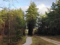 Waterberg von Beekbergen