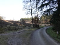 Bruisbeek von Landgoed Boshul