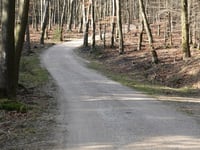 Bruisbeek von Landgoed Boshul