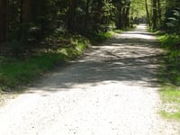 Bruisbeek von Loenen