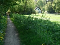 Bruisbeek von Loenen