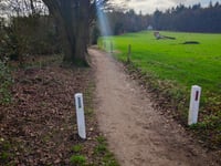 Bruisbeek von Loenen